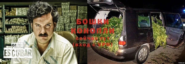 амф Арсеньев