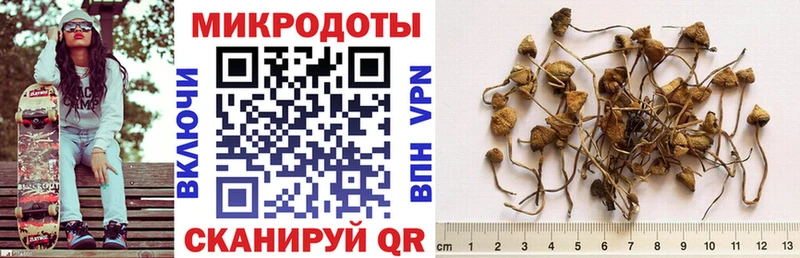 наркота  hydra ССЫЛКА  Псилоцибиновые грибы ЛСД  Весьегонск 